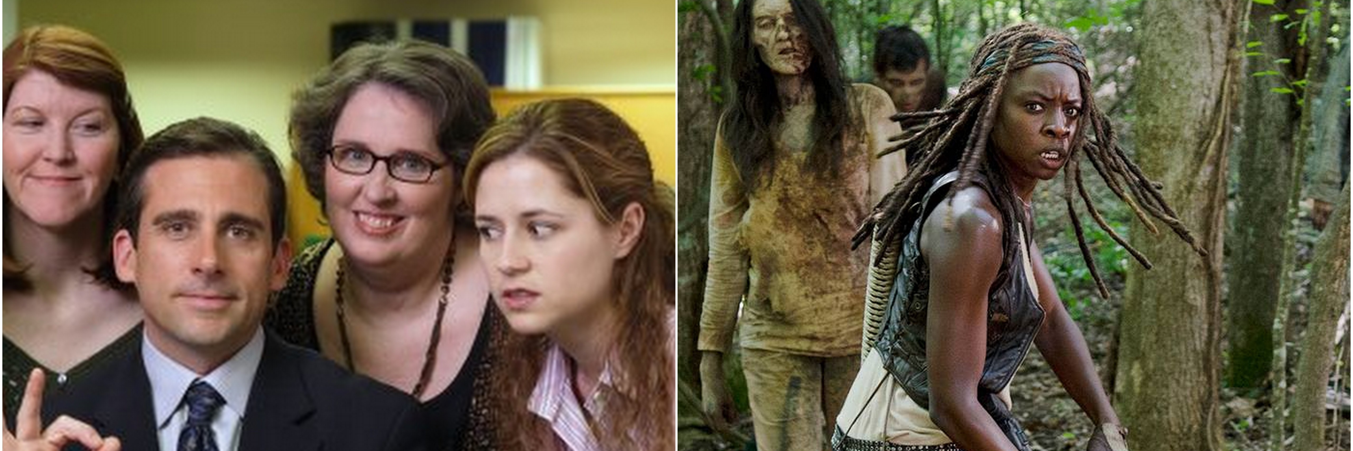 25 Netflix Shows to Binge Watch at Home With Chronic Condition the office and the walking dead images