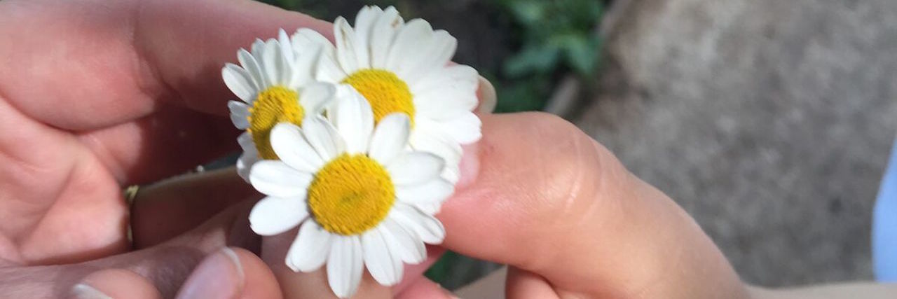 hands holding daisies