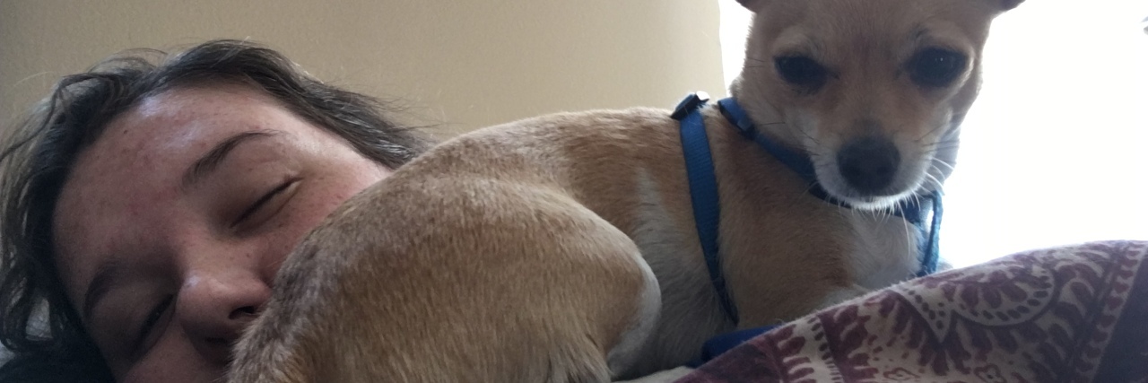 Finding My Version of Normal as an Adult With Cerebral Palsy Samantha napping with her chihuahua.