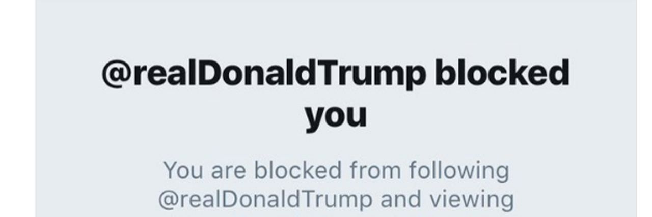 Trump Blocks Woman With Cancer on Twitter for Supporting ACA Laura Packard Trump block