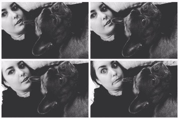 collage of woman taking pictures with her dog