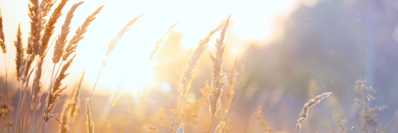 This is Why I Remember September is Blood Cancer Awareness Month Art autumn sunny nature background