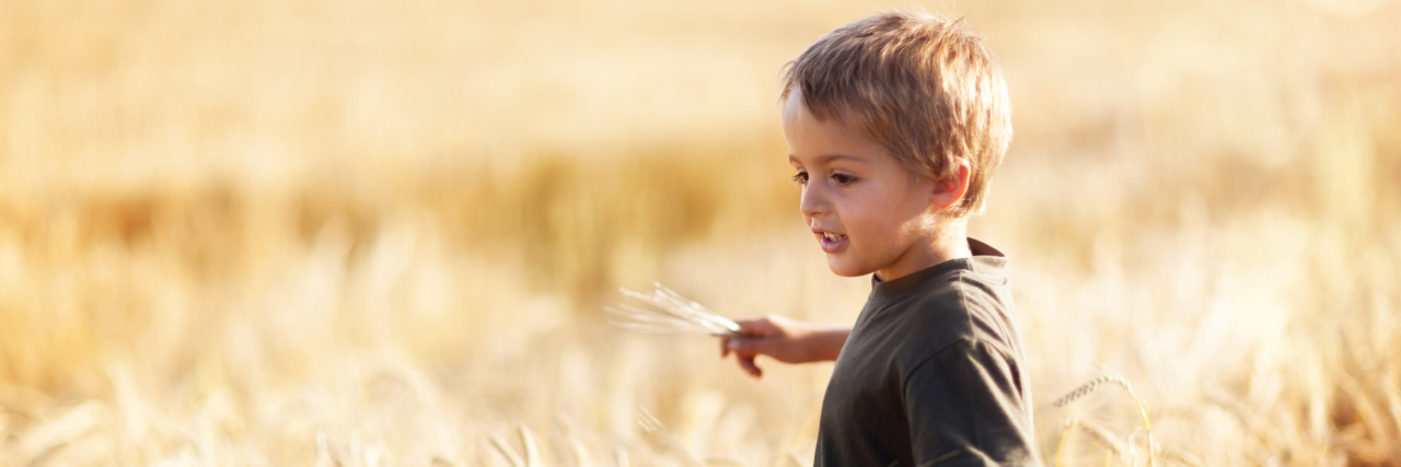 Boy in wheat field.