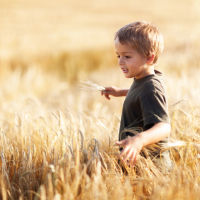 Boy in wheat field.