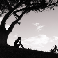 silhouette of woman sitting under a tree