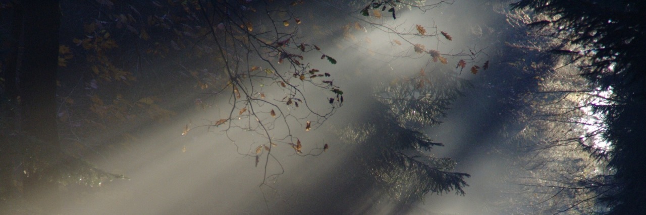 When Grief and Anger of Chronic Illness Makes You a Bad Partner light shining through trees in a foggy forest