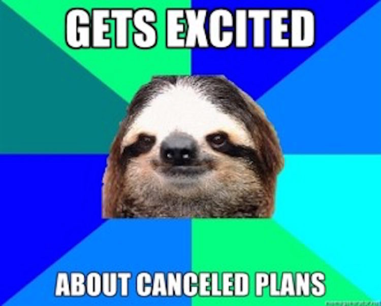 gets excited about cancelled plans