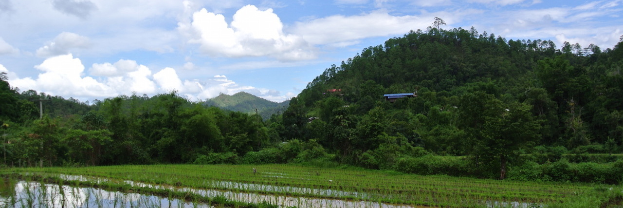 How to Study Abroad With Anxiety marsh