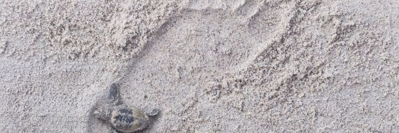 Struggling With Loneliness Because of Chronic Illness single footprint in the sand with a small turtle in the heel of the foot