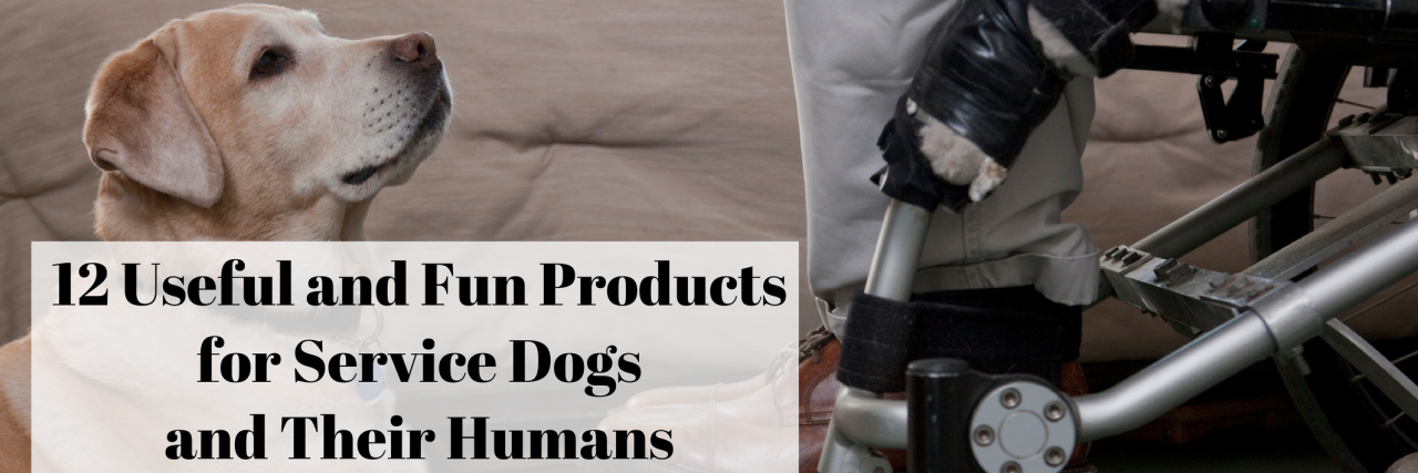 12 Gifts for Service Dogs and Their Humans Service dogs - list of useful and fun gear.
