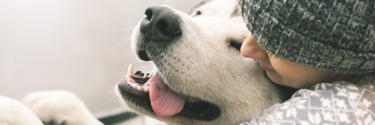 Service Dogs Are a Necessity for Their Handlers Young woman with her dog.