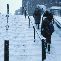 people walking up steps outside in the snow