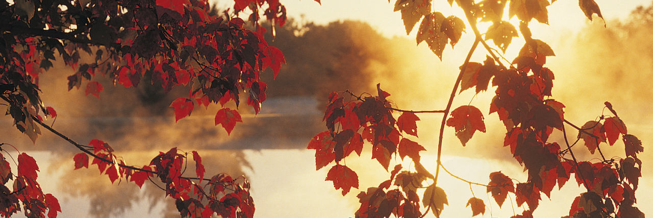 As Time Goes On: Lessons From Grief Autumn leaves against sunlight and a tree-lined lake in the background