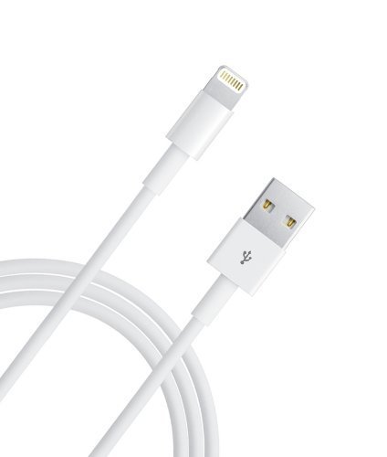 10-foot lightning charger cable