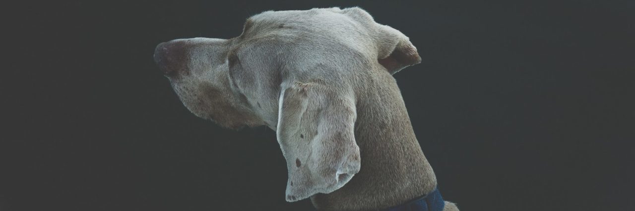 How Dysthymia Is Different From Depression