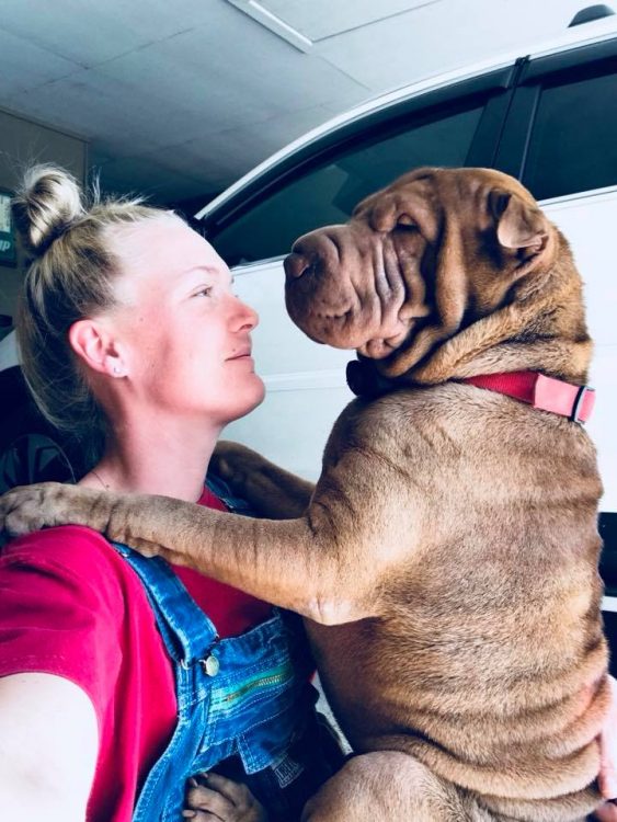 woman looking at her wrinkly dog