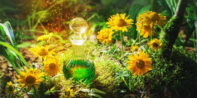 A bottle filled with green liquid, sitting in some grass, surrounded by yellow flowers with the sun shining down on it.