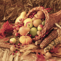 thanksgiving cornucopia