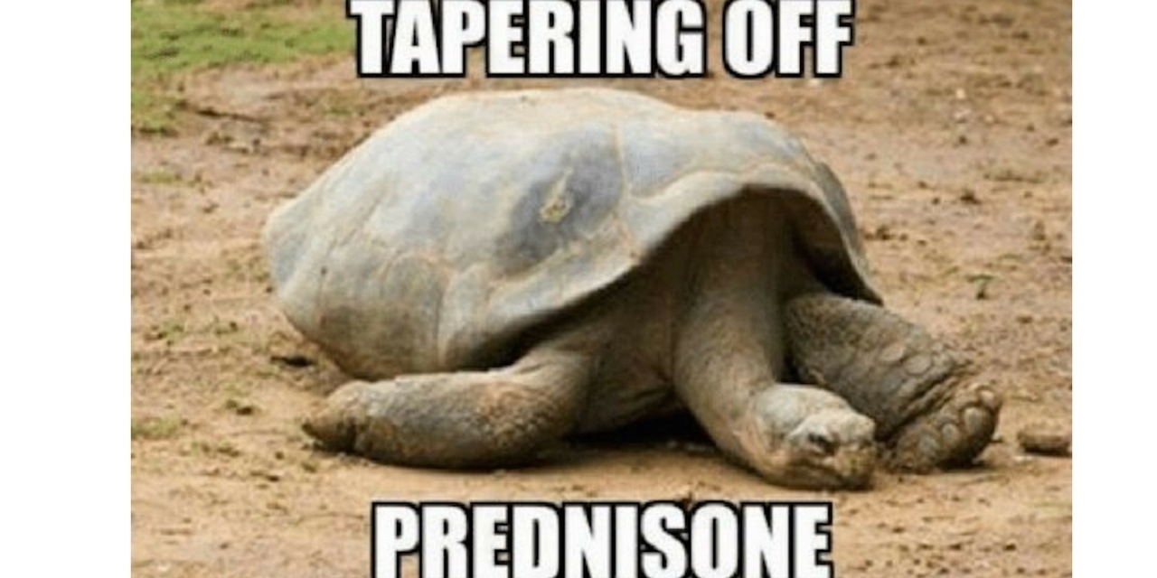 16 Memes That Might Make You Laugh If You've Taken Prednisone
