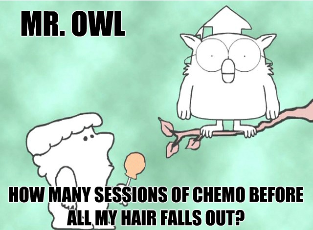 mr owl hair loss chemo meme