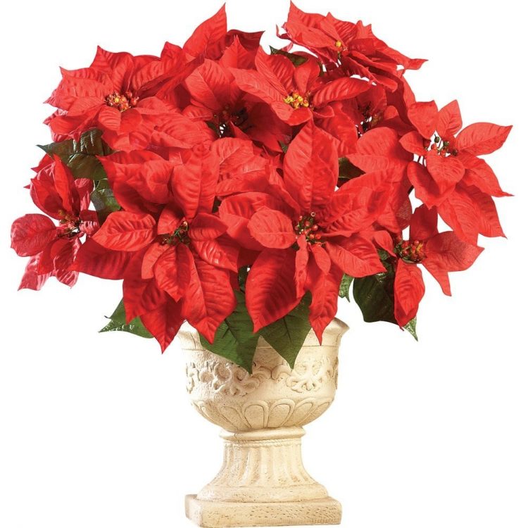 artificial poinsettias