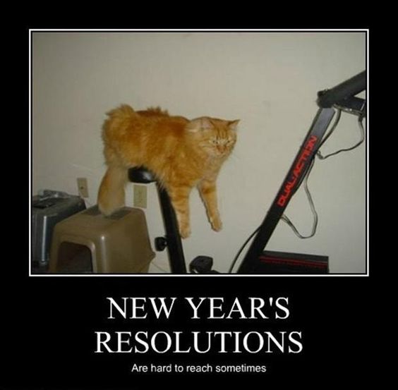 new year's resolution dog meme