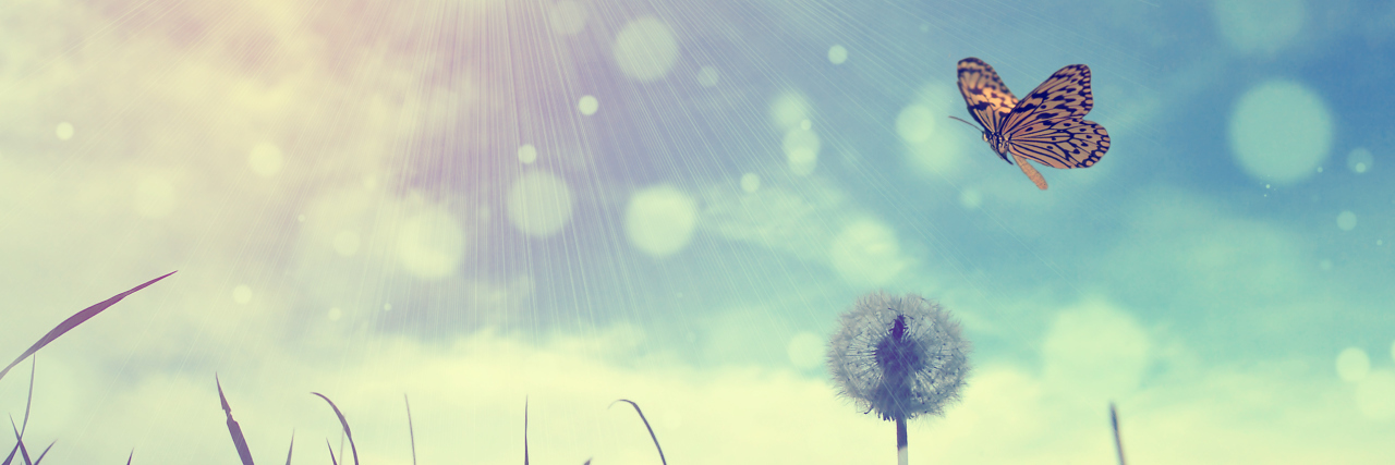 The Ups and Downs of Parkinson's Disease Photo of butterfly and dandelion.