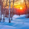 winter landscape with a sunset