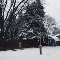 snowy backyard
