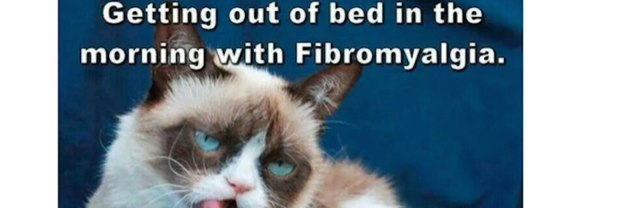 meme of tired cat with caption getting out of bed in the morning with fibromyalgia