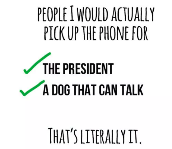 phone call the president meme