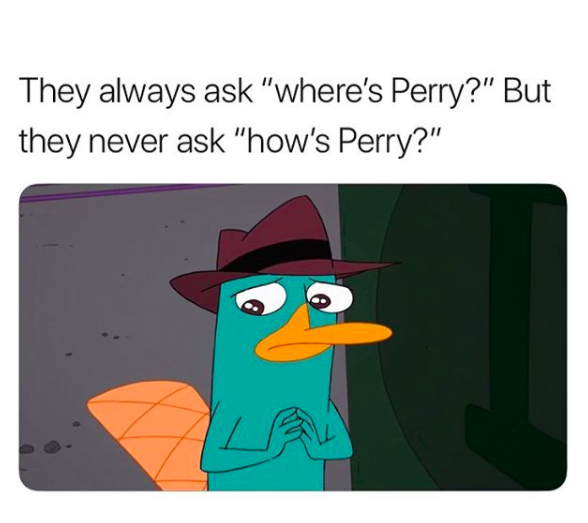 where's perry meme