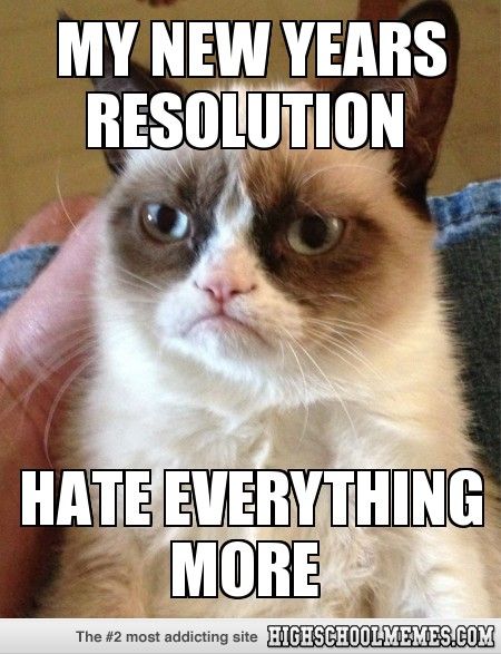 grumpy cat new years resolution meme