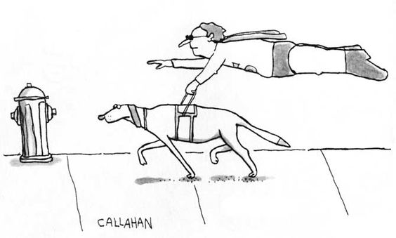 Cartoon of a guide dog leading a blind Superman as he flies just above the sidewalk.