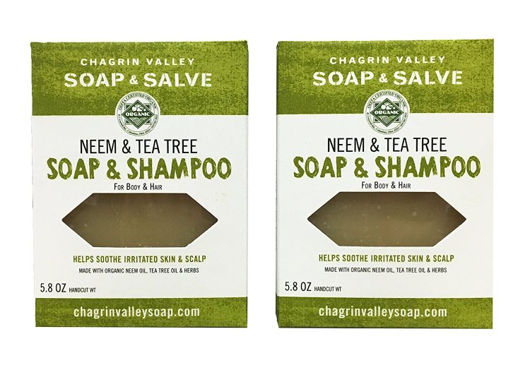 chagrin valley soap and salve co. soap and shampoo bars