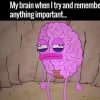 chemo brain meme