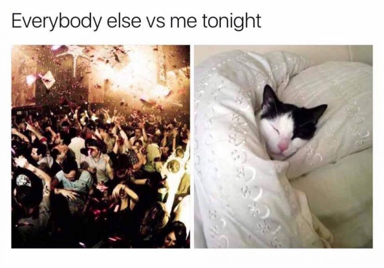 everybody else vs me tonight - people partying, and cat sleeping in bed