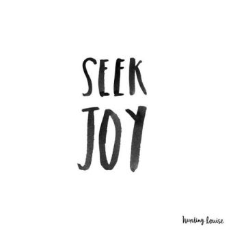 seek joy