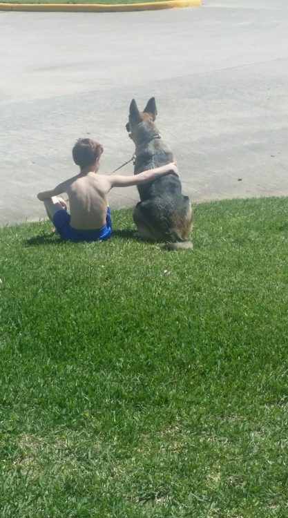 boy sitting with dog on grass