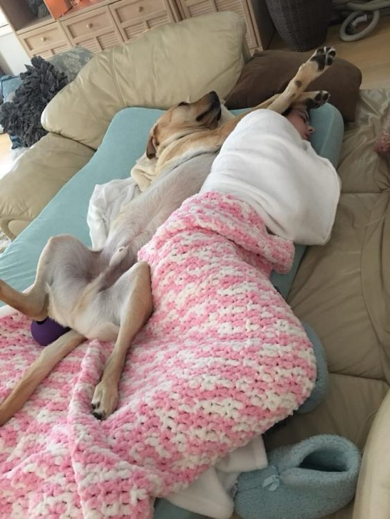 woman lying on couch with dog on his back next to her