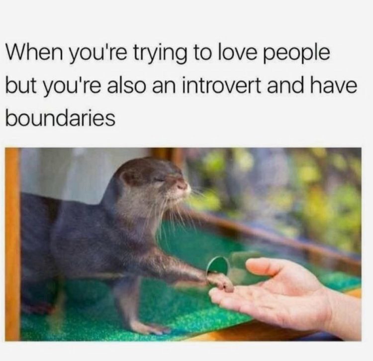 when you're trying to love people but you're also an introvert meme