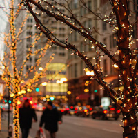 christmas lights on trees in the city