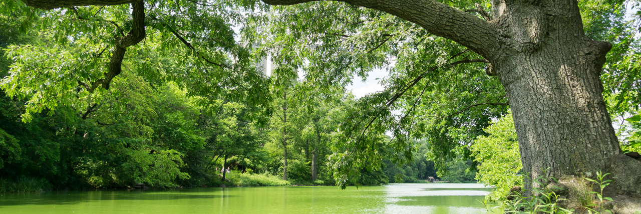 What Living With Autism Is Like for Me