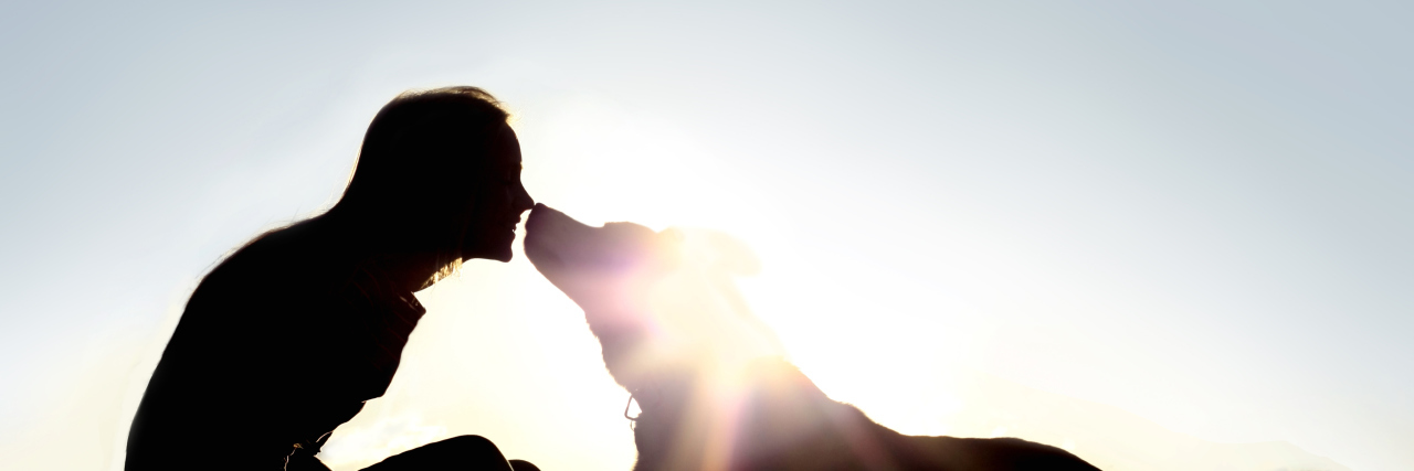 silhouette of a happy young woman is sitting outside at sunset lovingly kissing her large German Shepherd mix breed dog.