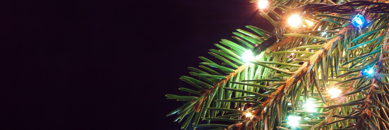 Child With Down Syndrome Wants Christmas Lights for Longer