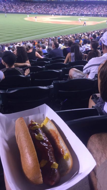 hot dog at baseball game