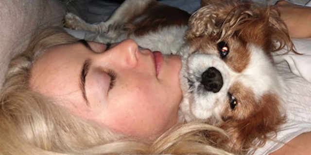 julianne hough and her dog lexi