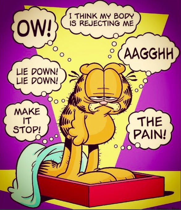 garfield surrounded by thought bubbles about being in pain