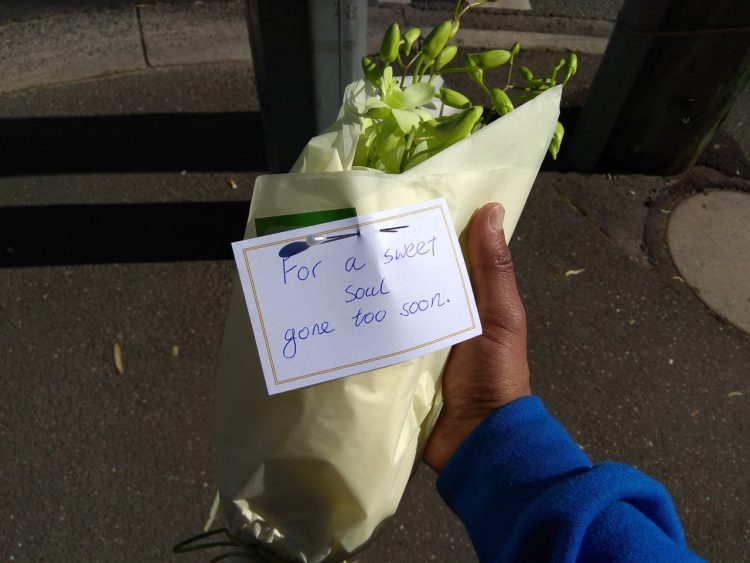 bouquet of flowers