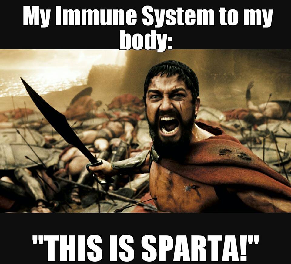 my immune system to my body: "This is Sparta!"